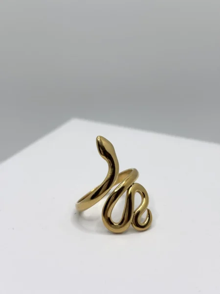 Anello Snake