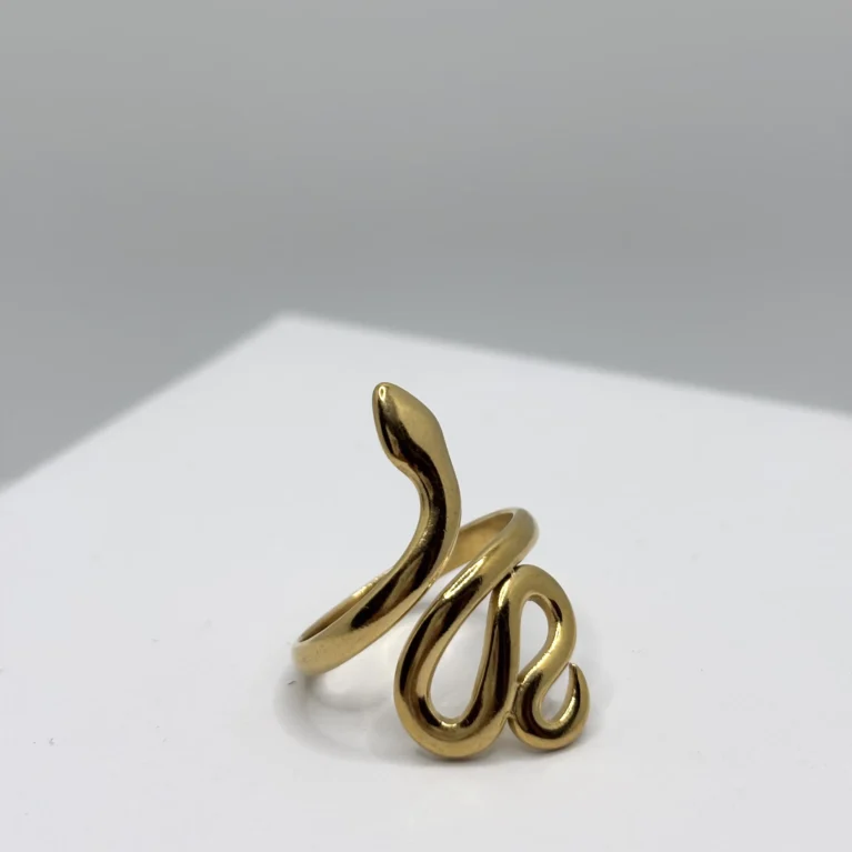 Anello Snake